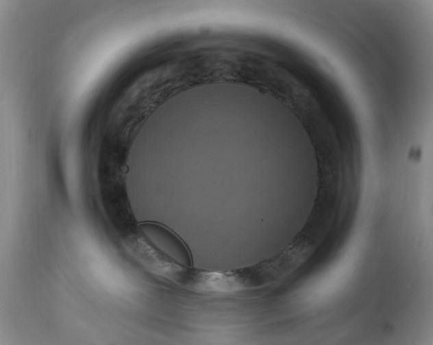X0000114990239200911091342