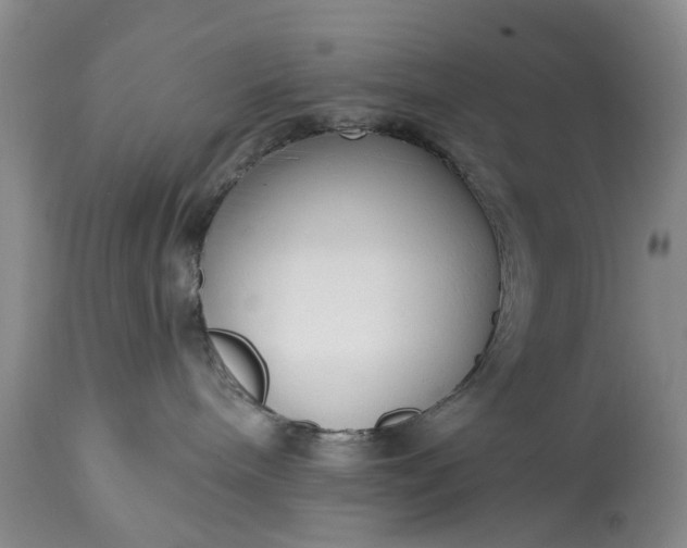 X0000114990240200911091342