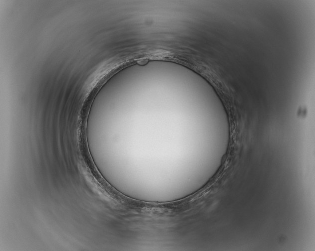 X0000114990242200911091341