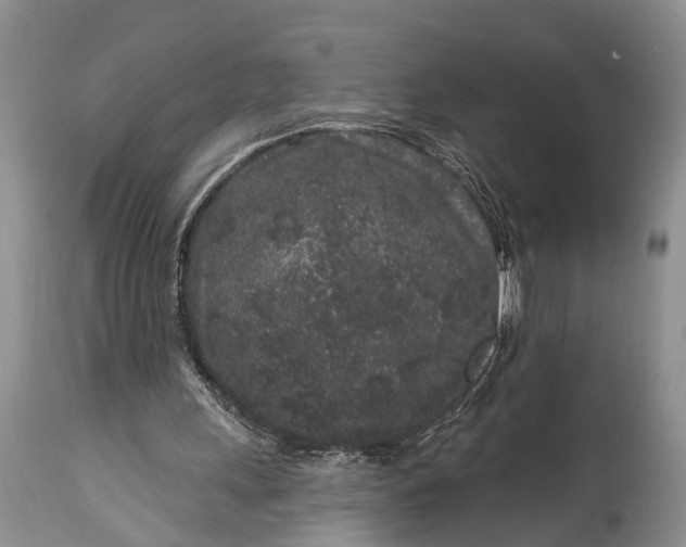 X0000114990243200911091341