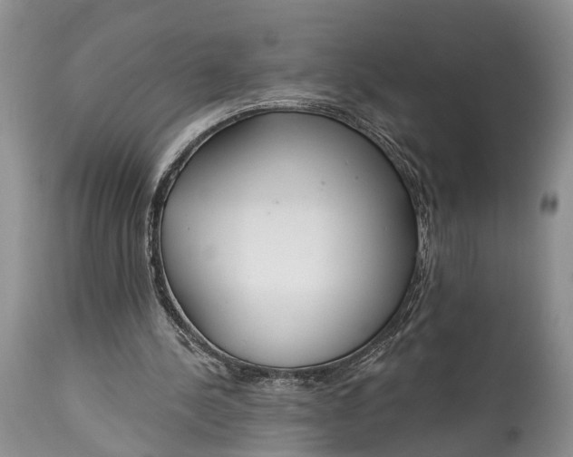 X0000114990244200911091341