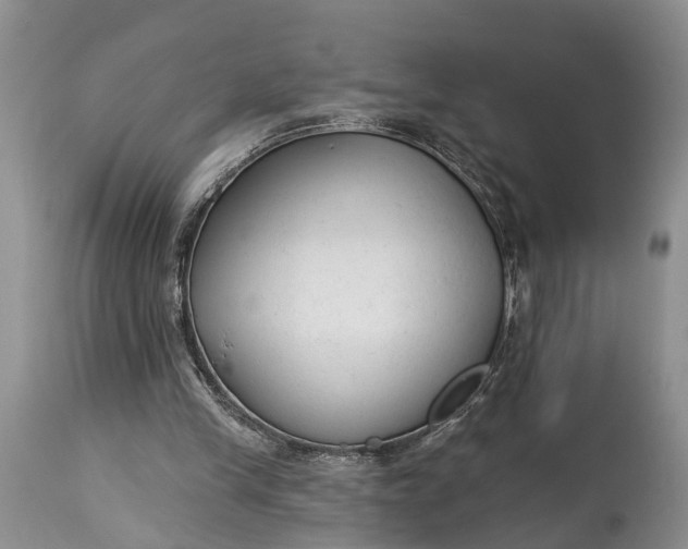 X0000114990245200911091341