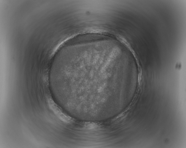 X0000114990249200911091342