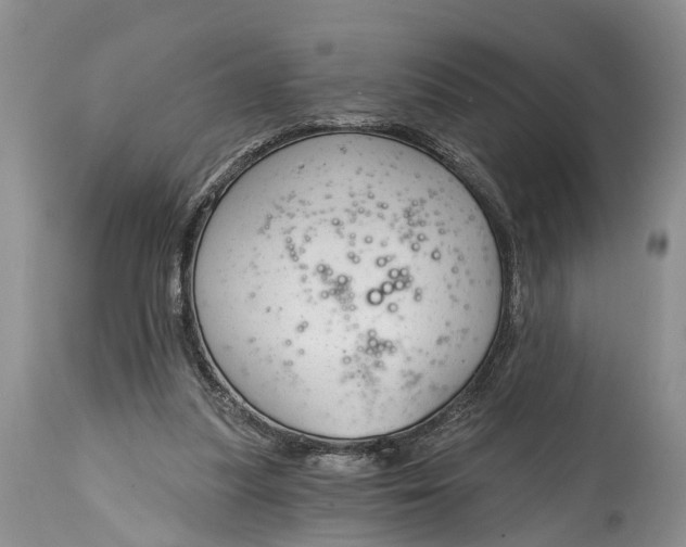 X0000114990251200911091342