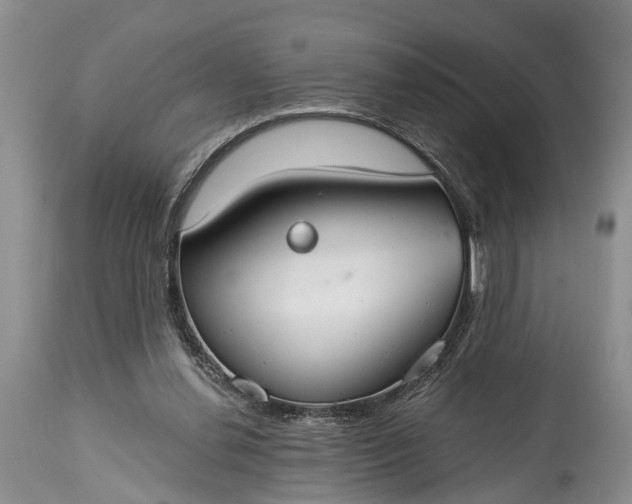 X0000114990252200911091342
