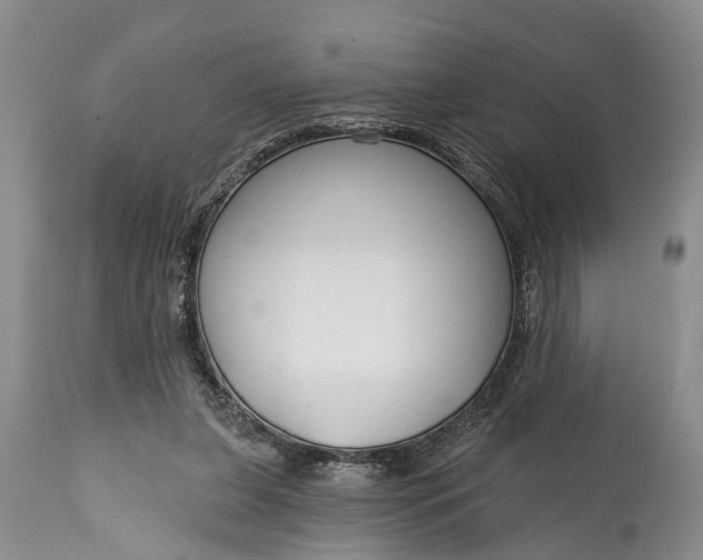 X0000114990255200911091342