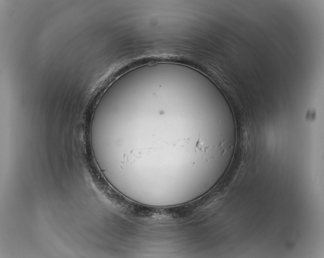 X0000114990256200911091342