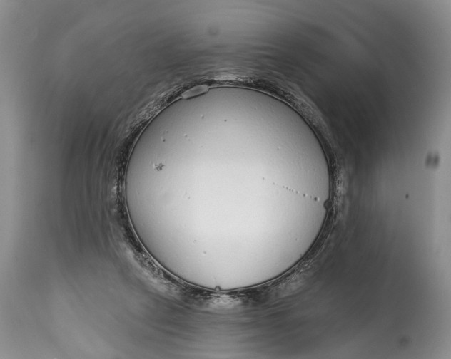 X0000114990257200911091342