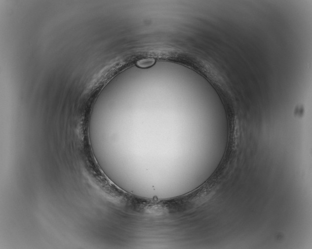 X0000114990258200911091342