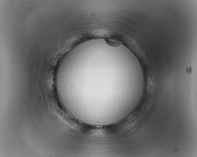 X0000114990259200911091342