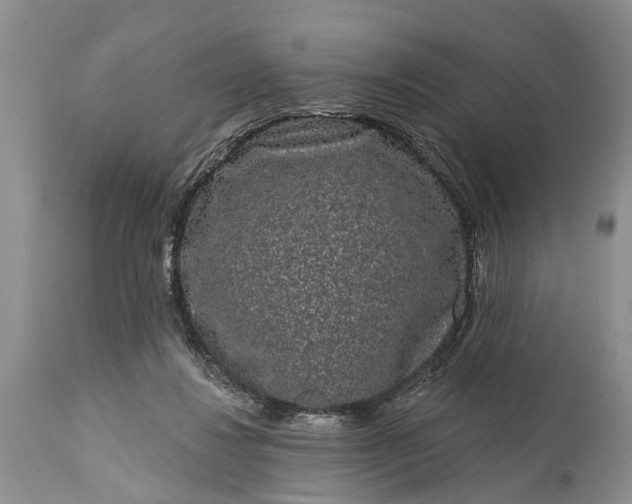 X0000114990260200911091342