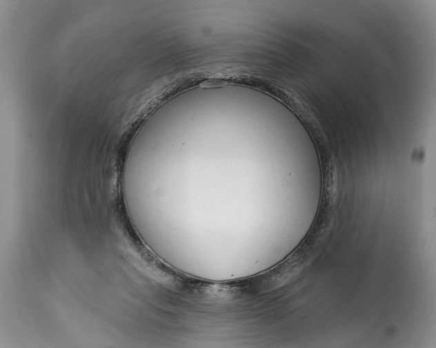 X0000114990261200911091342