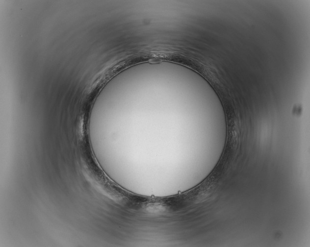 X0000114990262200911091342