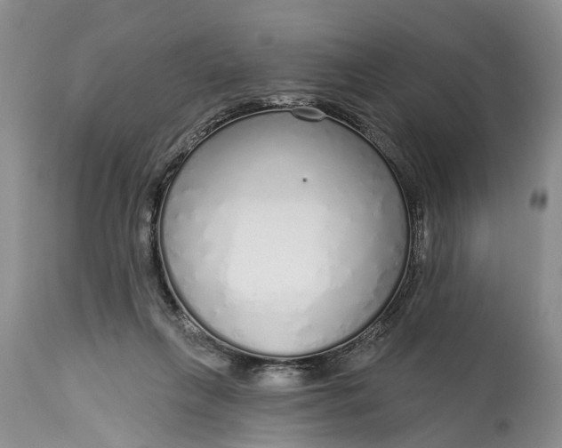 X0000114990263200911091342