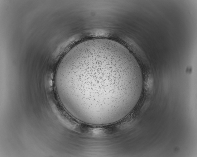 X0000114990264200911091342