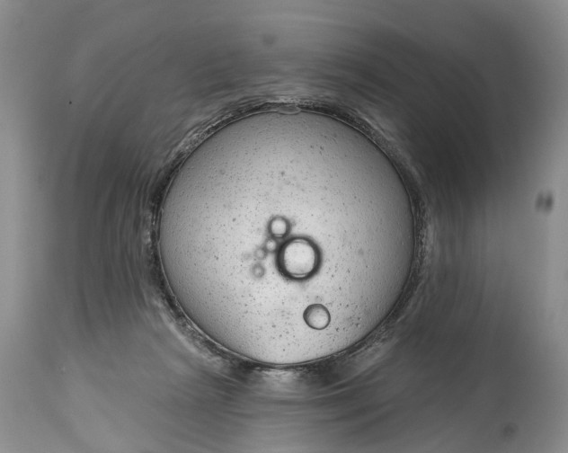 X0000114990265200911091342