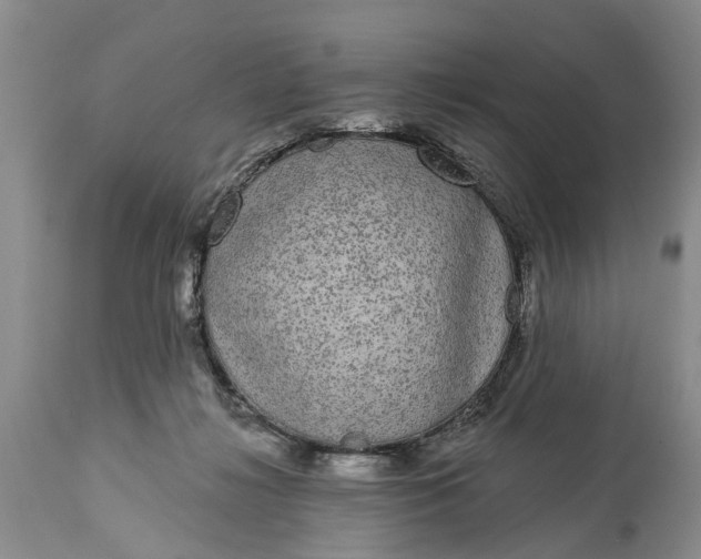 X0000114990268200911091342