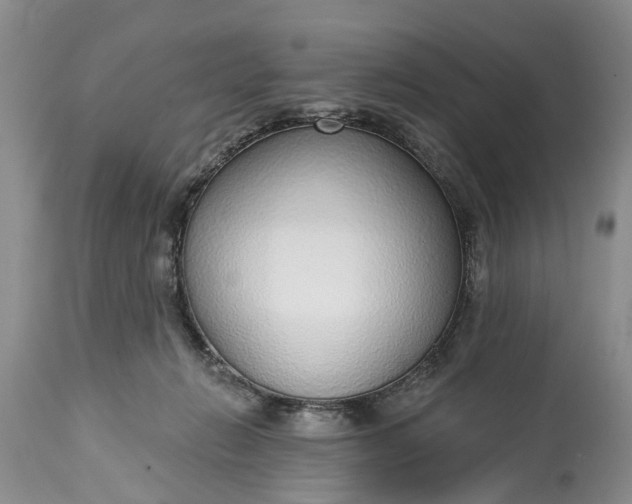 X0000114990270200911091342