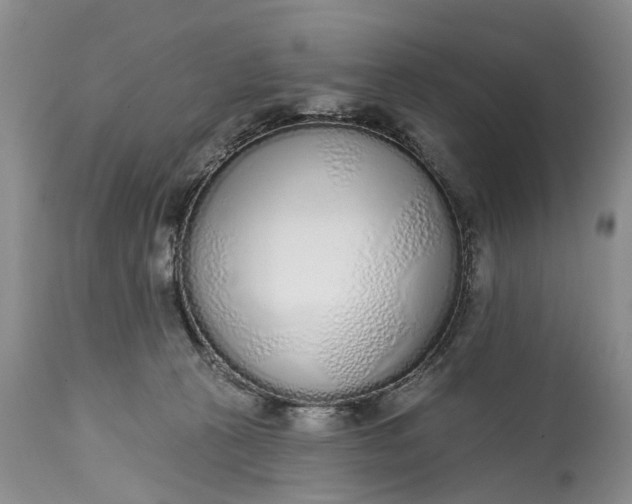 X0000114990273200911091342