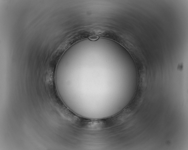X0000114990274200911091342