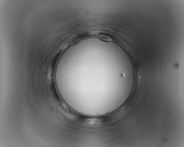 X0000114990275200911091342