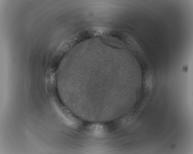 X0000114990276200911091342