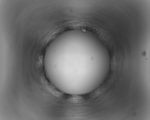 X0000114990278200911091342