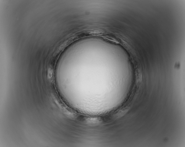 X0000114990281200911091342