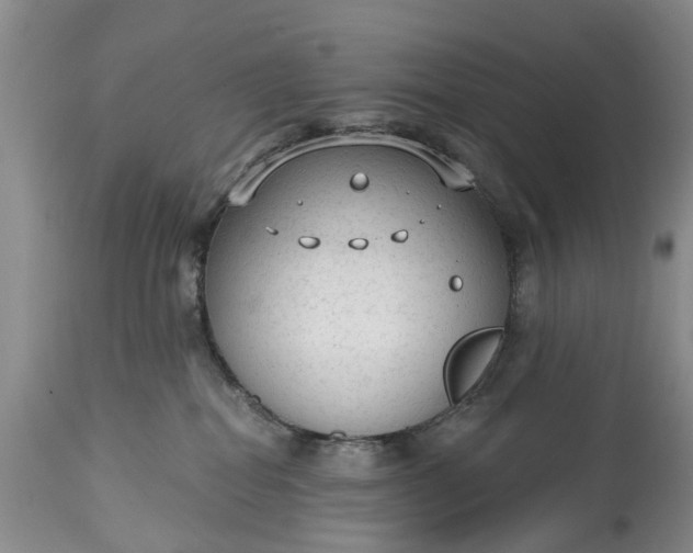 X0000114990282200911091342