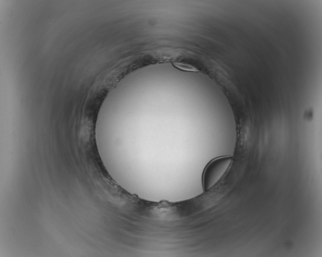 X0000114990283200911091342