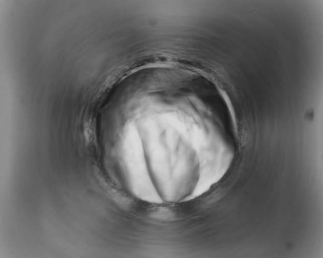 X0000114990285200911091342