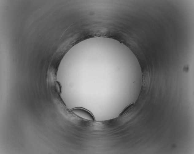 X0000114990287200911091342