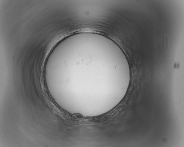 X0000114990289200911091341