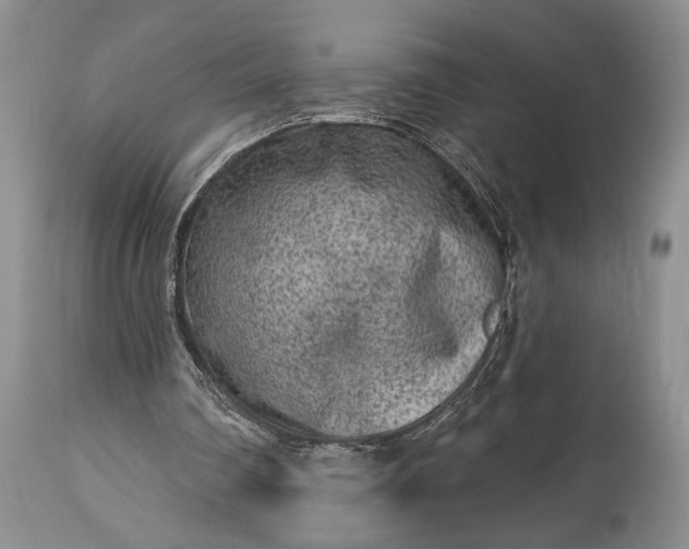 X0000114990290200911091341