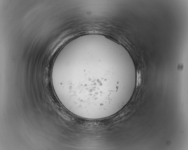 X0000114990291200911091341