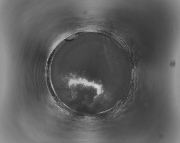 X0000114990292200911091341