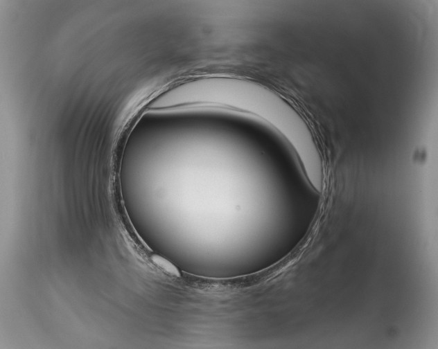X0000114990293200911091341