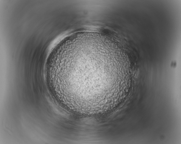 X0000114990294200911091341