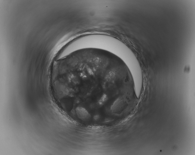 X0000114990295200911091341