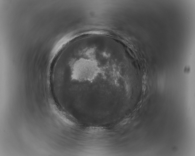 X0000114990296200911091341