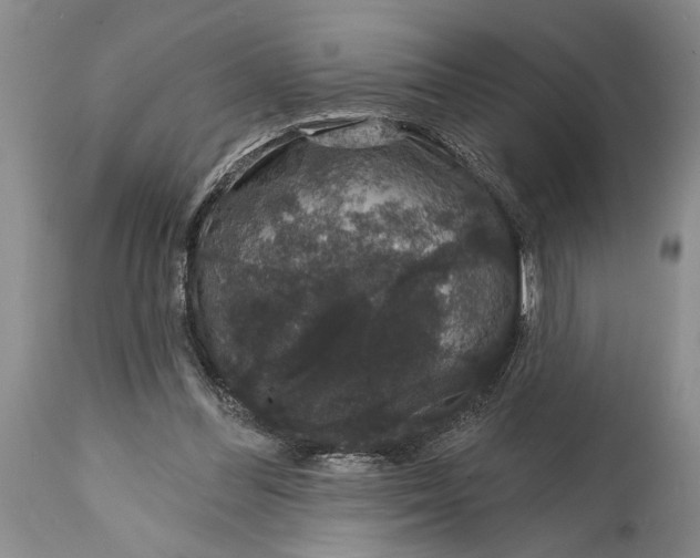 X0000114990300200911091341