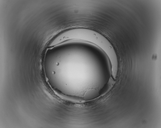 X0000114990302200911091341