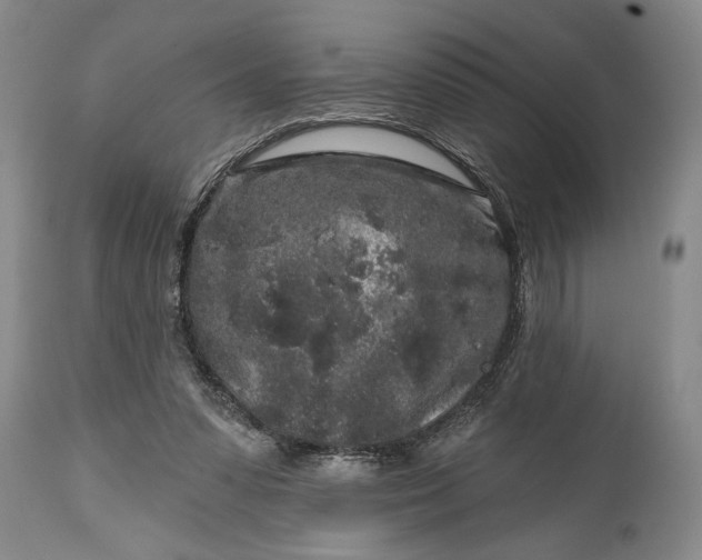 X0000114990303200911091341