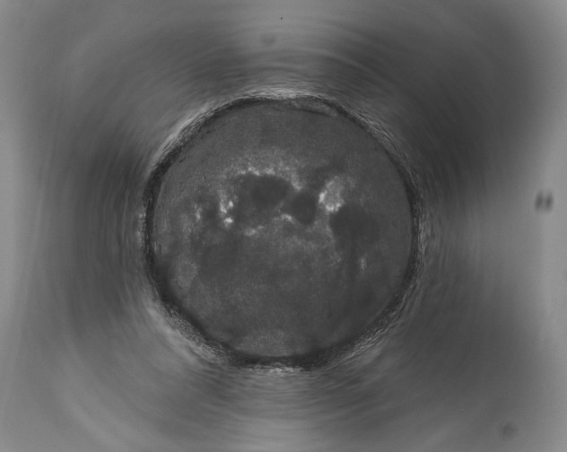 X0000114990304200911091341