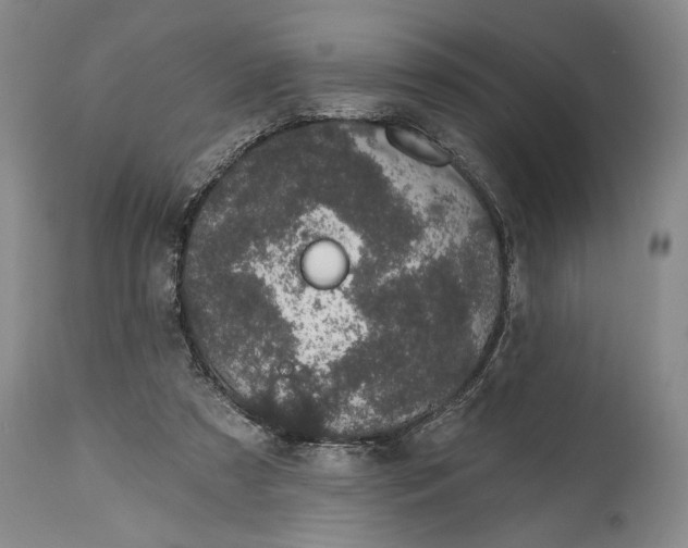 X0000114990305200911091341