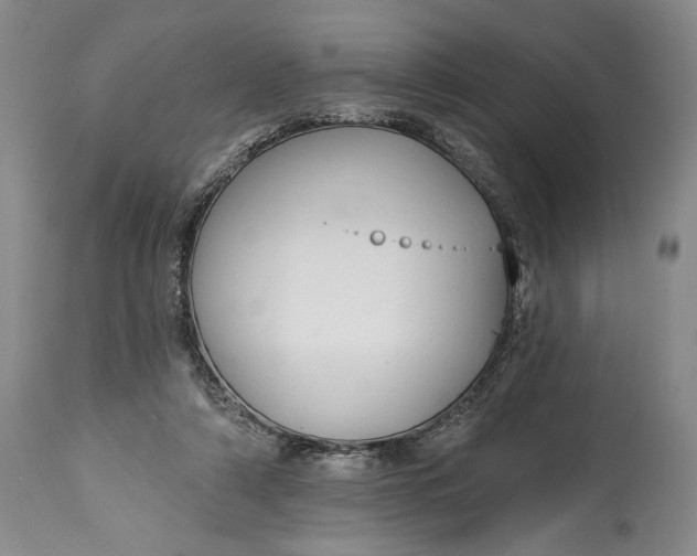 X0000114990306200911091341