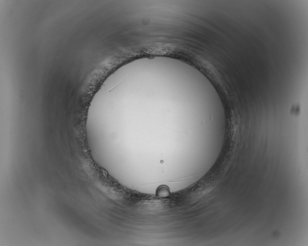 X0000114990307200911091341