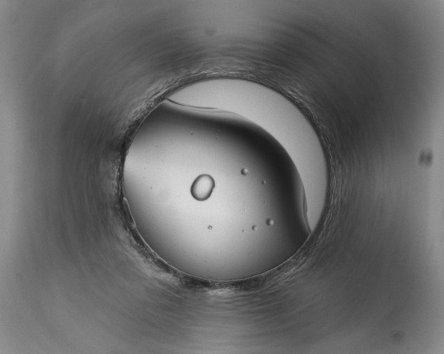 X0000114990309200911091341