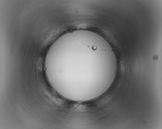 X0000114990311200911091341