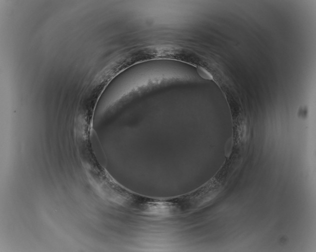 X0000114990316200911091341